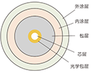 抗彎單模光纖